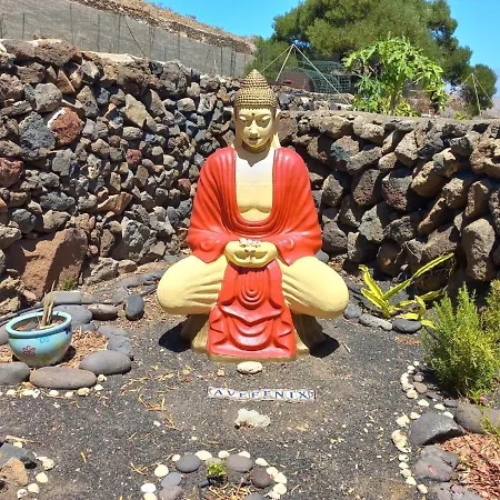 Centro Ave Fénix * Femés