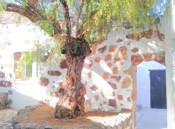 Дом отдыха Centro Ave Fenix *