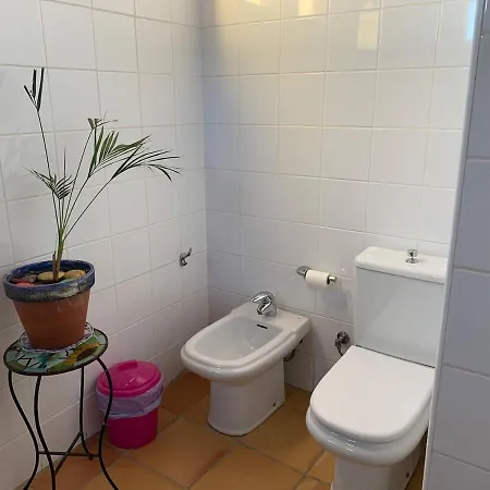 Centro Ave Fenix Femés