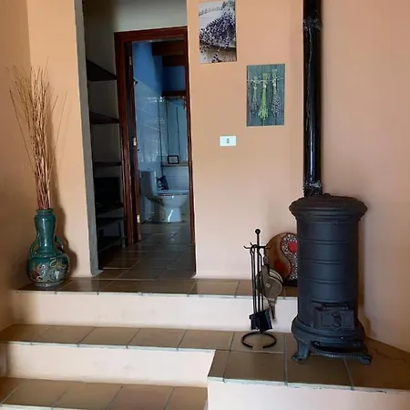 Centro Ave Fenix