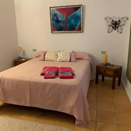 Centro Ave Fenix Femés