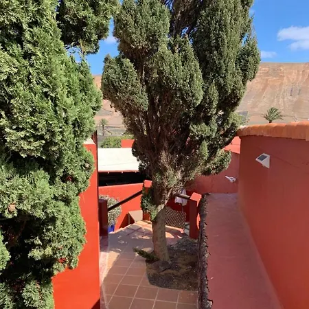 Centro Ave Fénix Femés