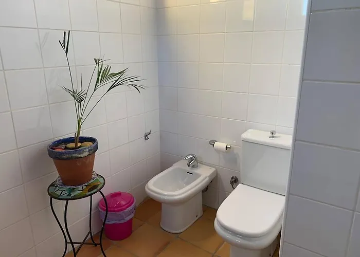 Centro Ave Fenix Femés