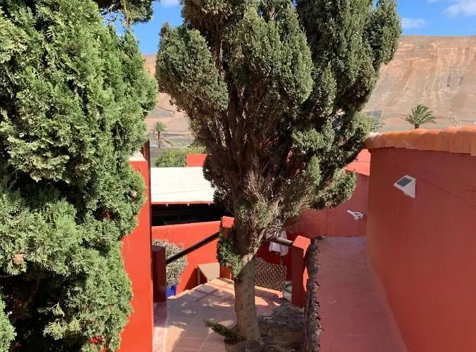 Centro Ave Fenix Femés