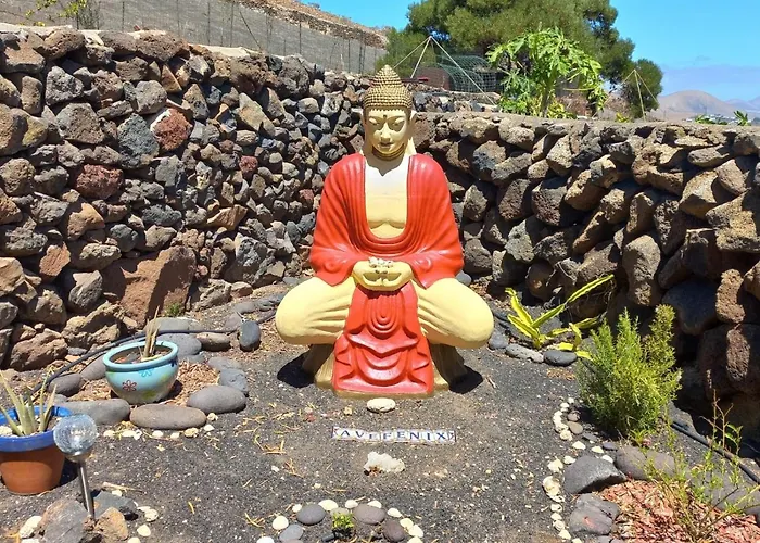 Centro Ave Fenix * Femés